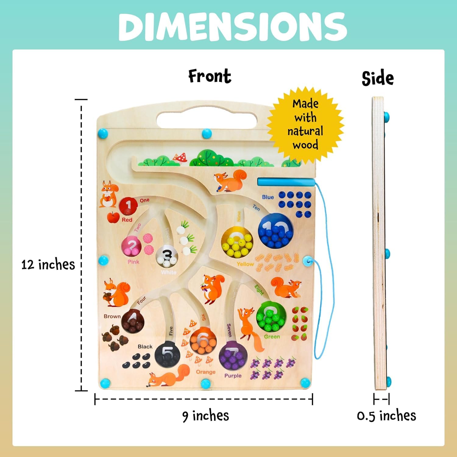 Wudly - Magnetic Squirrel Feeding - Learning Toy