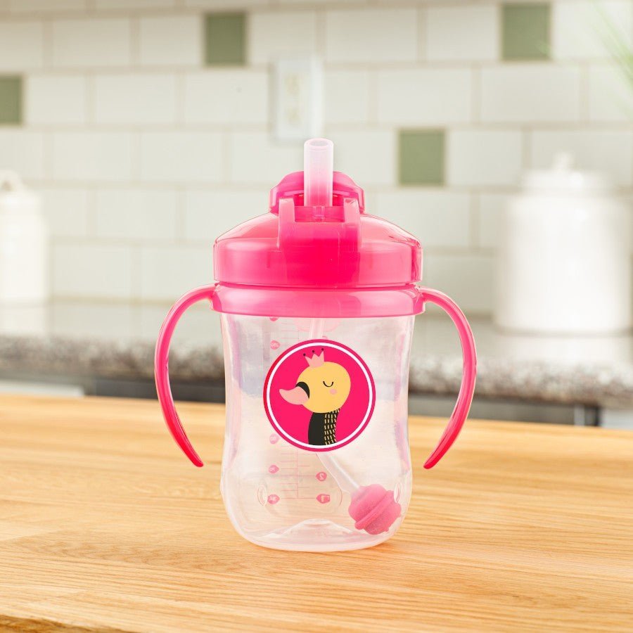 Dr. Browns Babys First Straw Cup- Pink - DBTC91011-INTL