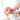 Dr. Browns Happy Pacifier Silicone Two-Piece Soother - Pink - DBPS12007-INTL