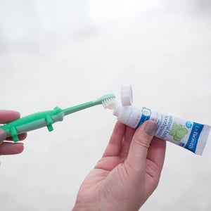 Dr. Browns Infant to Toddler Toothbrush- Green Crocodile - DBHG059-P4