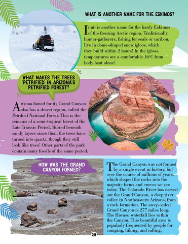 Dreamland Publications Amazing Places Encyclopedia For Children- Questions And Answers - 9789389281286