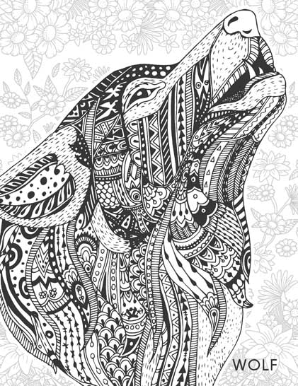 Dreamland Publications Creative Doodle Colouring- Animals & Birds - 9789350897959