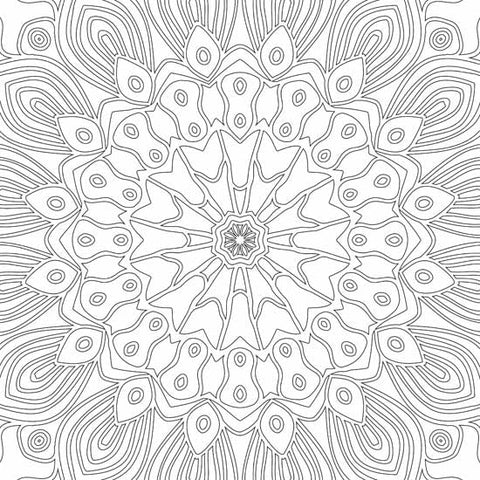 Dreamland Publications Refreshing Mandala- Colouring Book For Adults Book 1 - 9789350897607