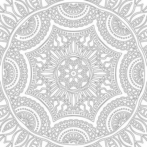 Dreamland Publications Refreshing Mandala- Colouring Book For Adults Book 1 - 9789350897607
