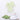 Fancy Fluff Bamboo Cotton Baby Bathrobe- Dino - FF-DN-BHB-03