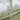 Fancy Fluff Organic Baby Cocoon- Woodland - FF-WD-BCN-01