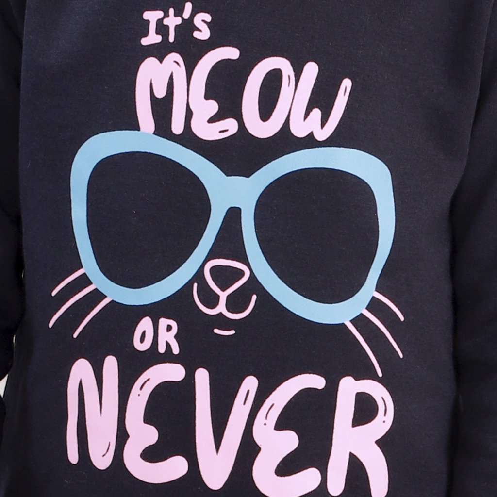 Meow or Never Hooded Sweatshirt - KS-MWNVR-0-6
