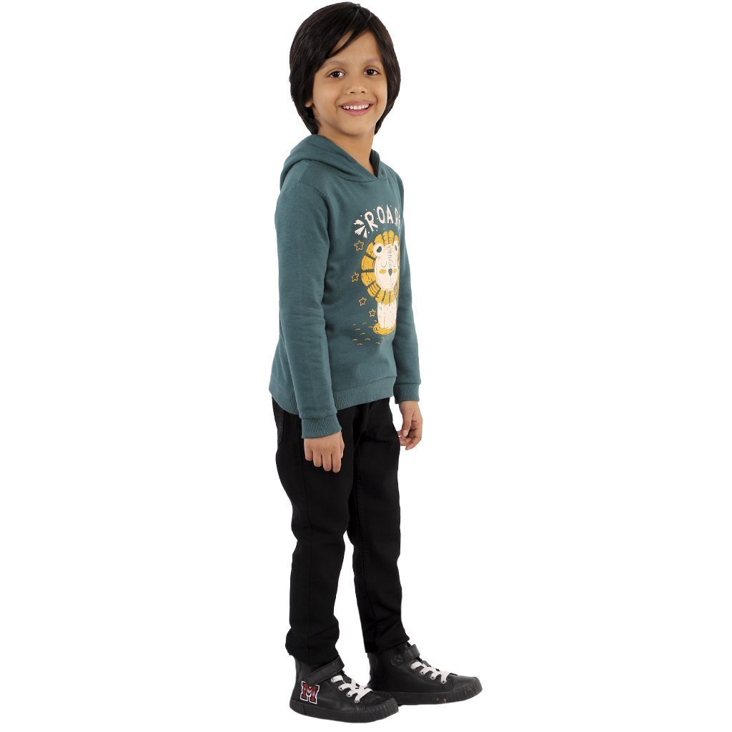 My Little Lion Hooded Sweatshirt - KS-LTLLN-0-6