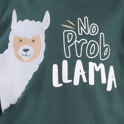 No Prob Llama Hooded Sweatshirt - KS-NPLMA-0-6