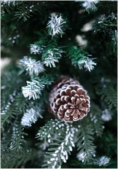 Nordic Christmas Decorations Balsam Christmas Tree With Light Frosting And Big Pine Cones, 4 ft - FCH-2201004