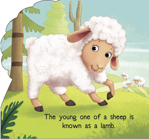 Om Books International Lamb ( Animals and Birds )- Cutout Board Books - 9789386316066