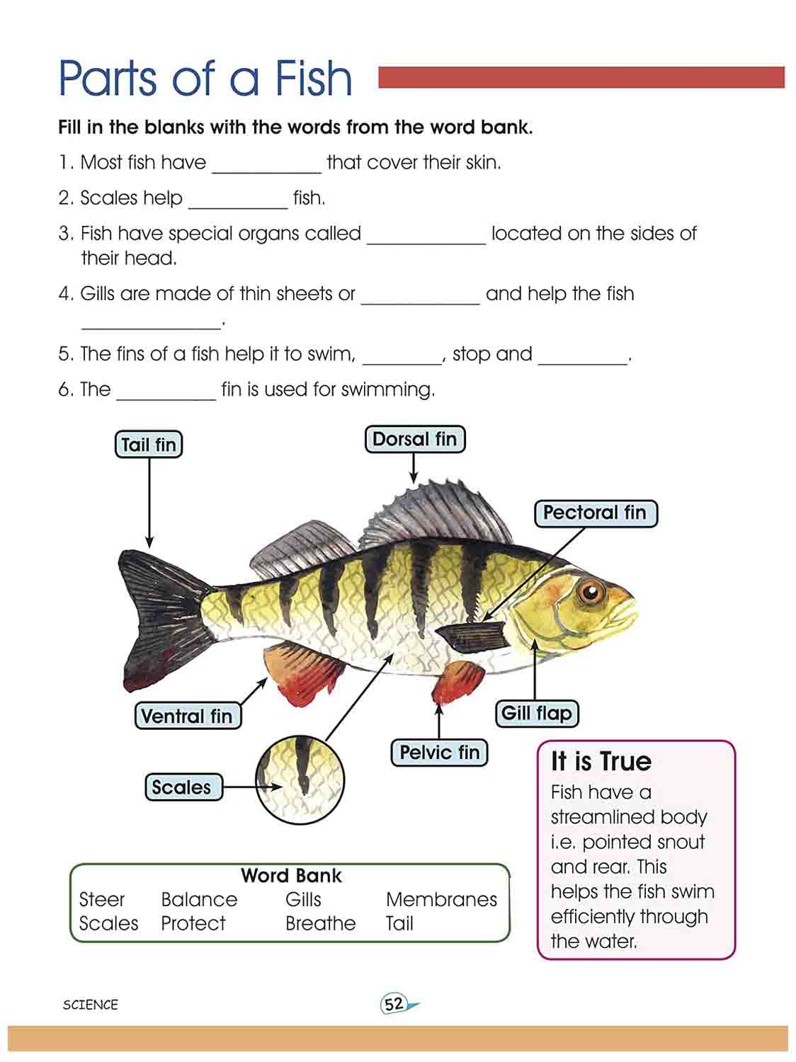 Om Books International Science Activity Book - 9789352760459