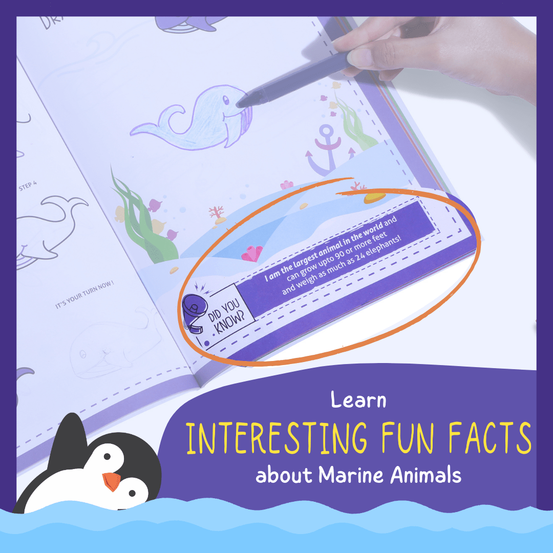 PepPlay Step by Step Drawing Book- Mystical Marine Life Theme - PP20503