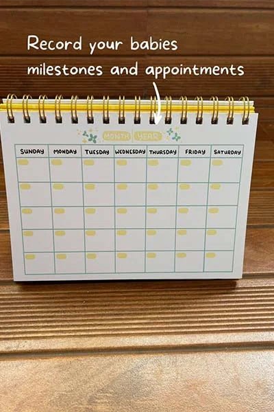 Qwirk Store Baby Record Calendar - 27611
