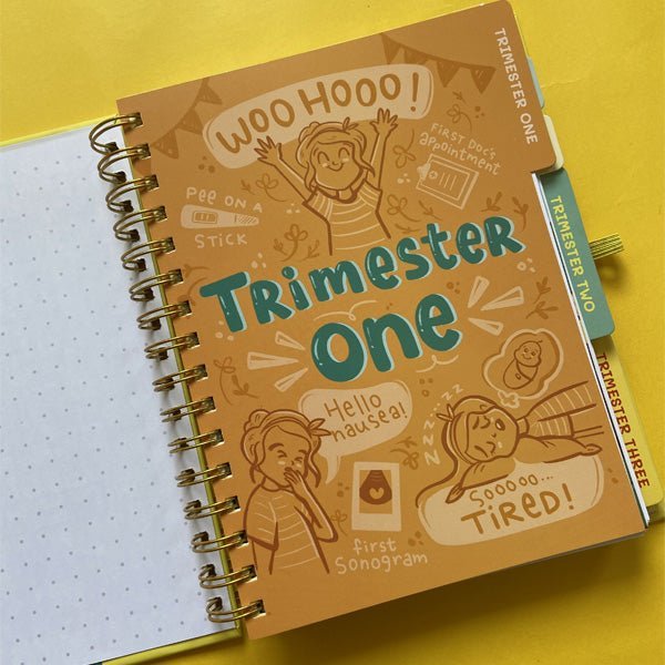 Qwirk Store Pregnancy Journal and Add-Ons - 8063