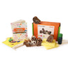 Shumee Little Dino Wooden Stamps Set - EXP-IN_IHD-DS-W-3yr-0039
