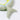 SUNNYLiFE Green Color Inflatable Kiddy Pool Ring Shark Tribe Khaki - S3LKPOST