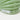 SUNNYLiFE Green Color Inflatable Kiddy Pool Shark Tribe Khaki - S3PPOOST