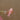 SUNNYLiFE Pink Color Mermaid Dive Buddies Ocean Treasure Rose - S3VDIVOT