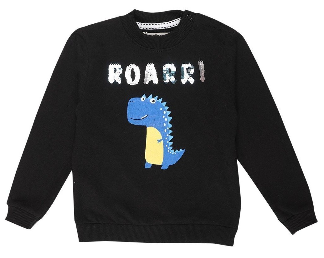 Sweatshirt Combo of 2-Hello There-Roarr - SWT2-HLTRR-0-6